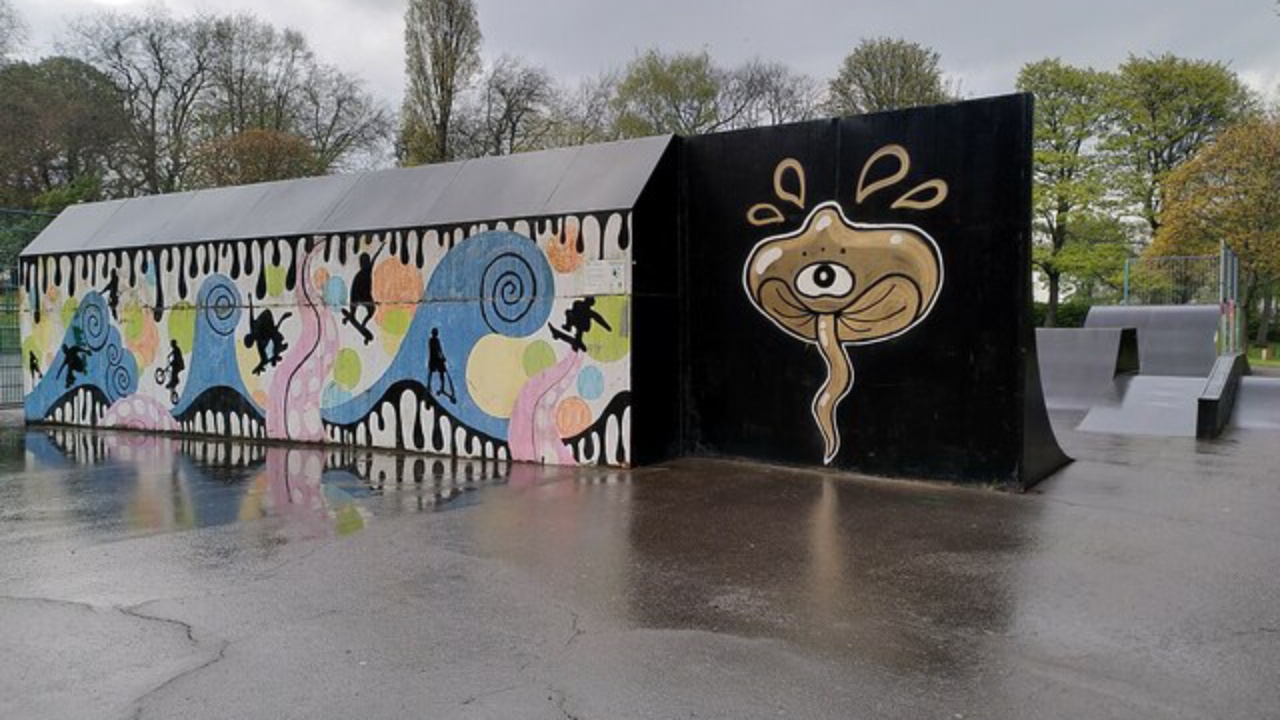 Skatepark: Skate park, Brunswick Park, Wednesbury