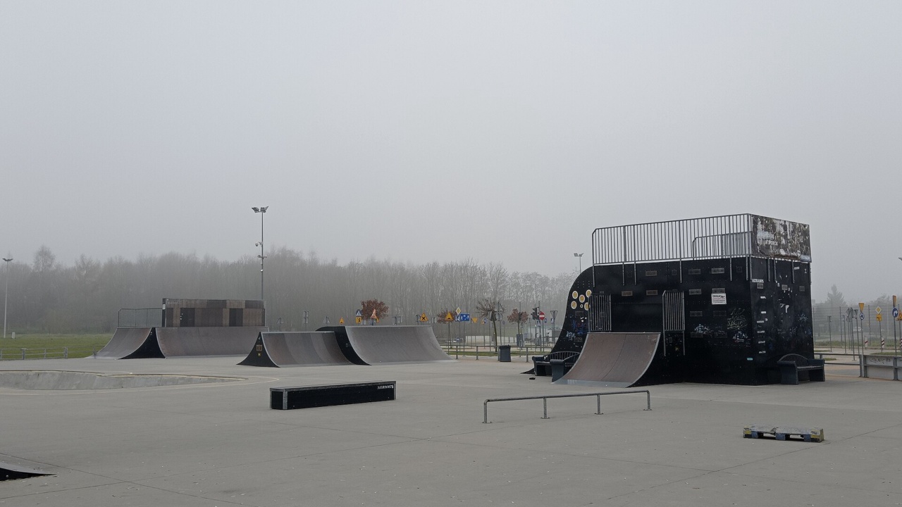 Skatepark: Skatepark w Paku Cegielnia, Żory