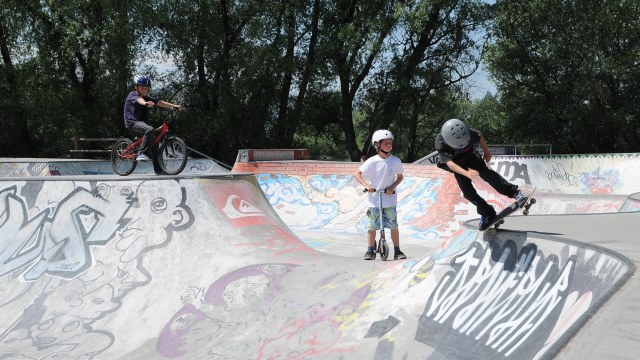 Skatepark: Skatepark, Hard in Vorarlberg 1