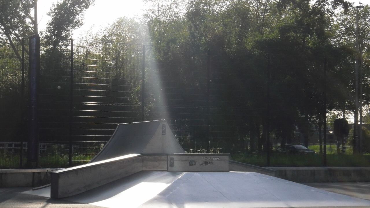 Middenberm Skatepark: Skatepark Middenberm - Delft - 2009 - panoramio