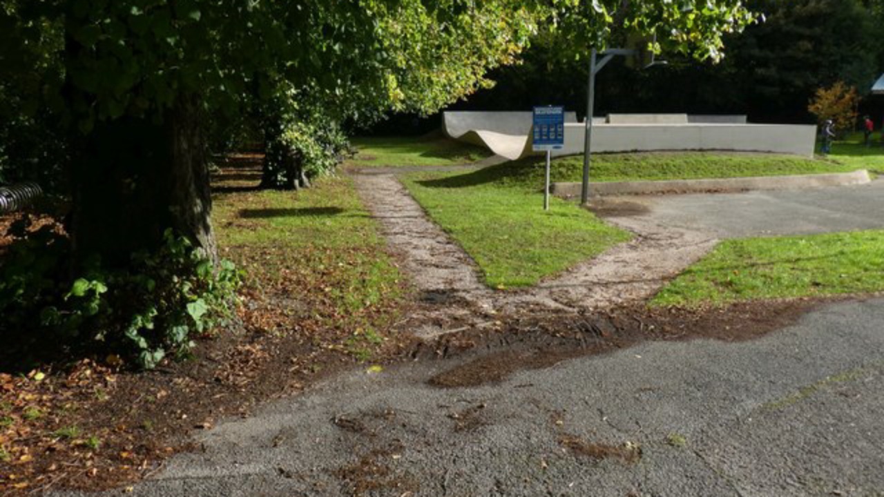 Skatepark: Buckfastleigh Skatepark