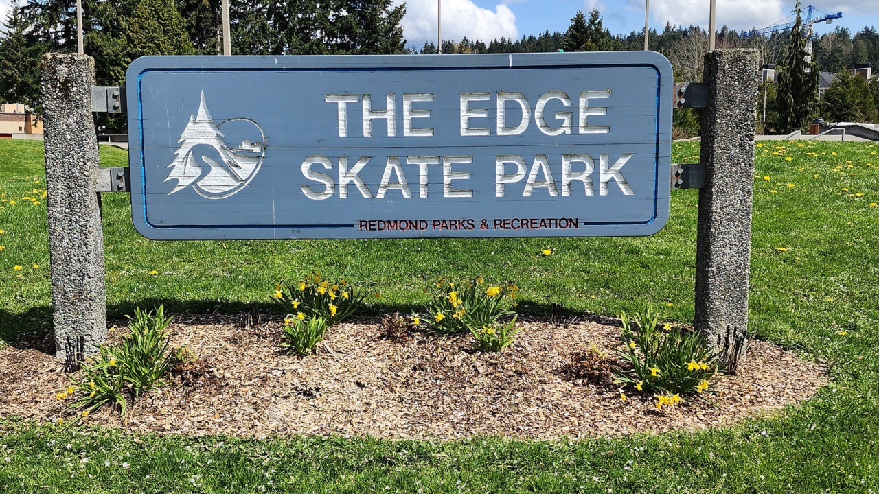 The Edge Skate Park: The Edge Skate Park