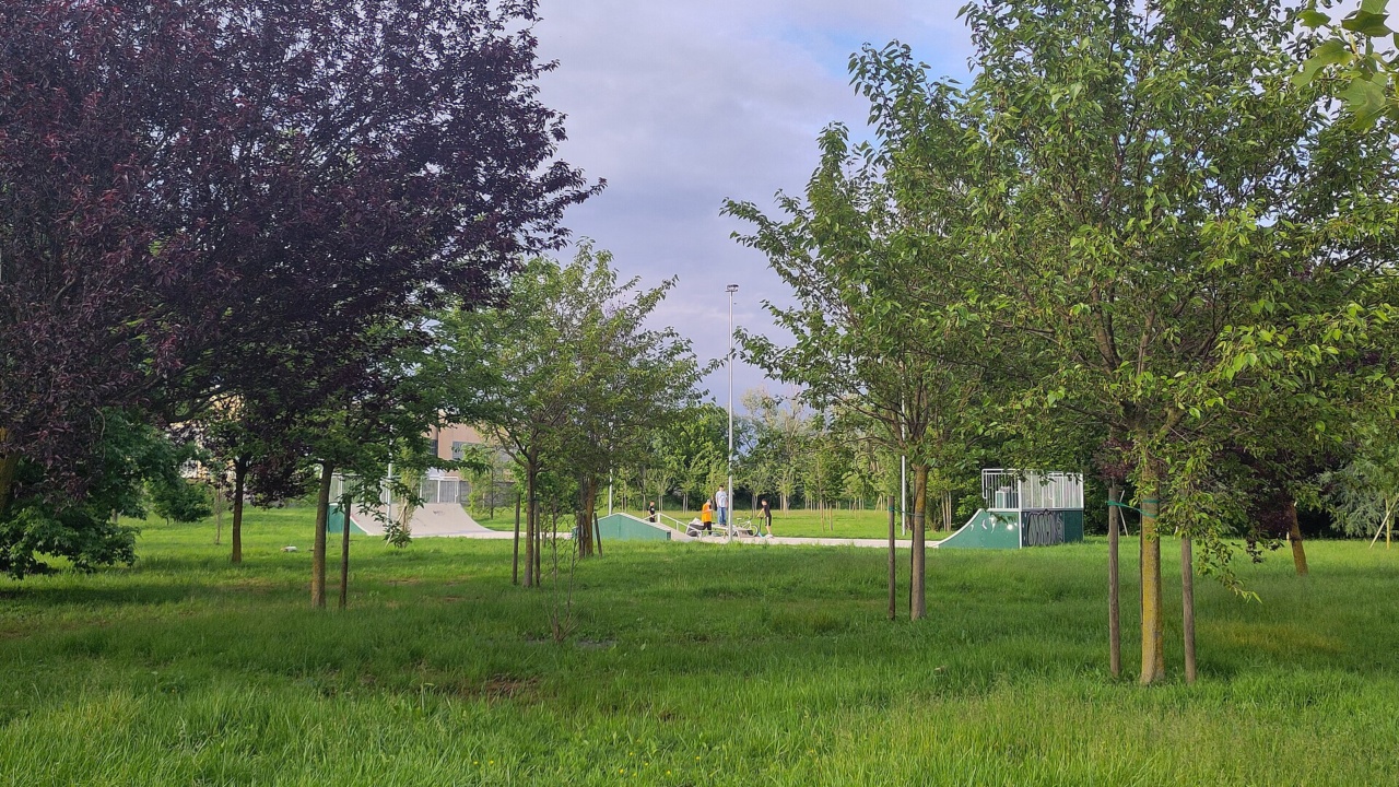 Comrades Skatepark: Skate park di Sesto Ulteriano (San Giuliano Milanese)