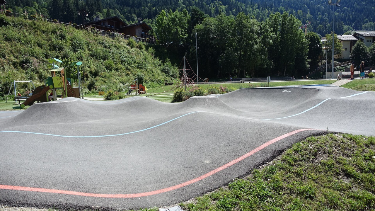 Parc des Loyers: Skatepark @ Les Contamines-Montjoie (50921874852)