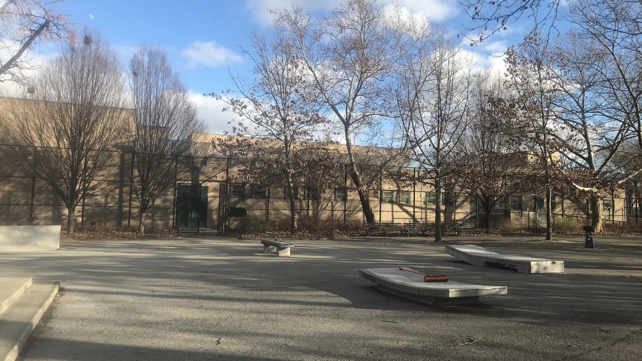 Brower Skatepark: Brower Park Skatepark