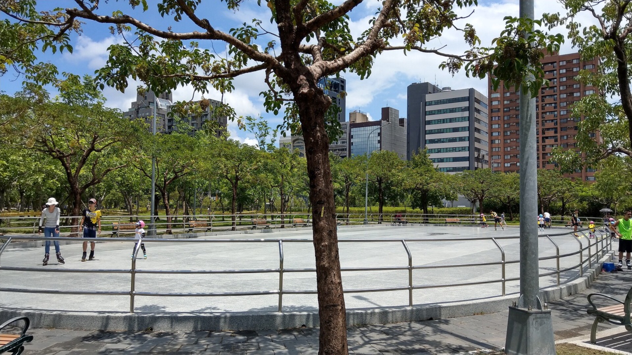溜冰場: Taipei Daan Park - Skates Field - 20180805 - 01