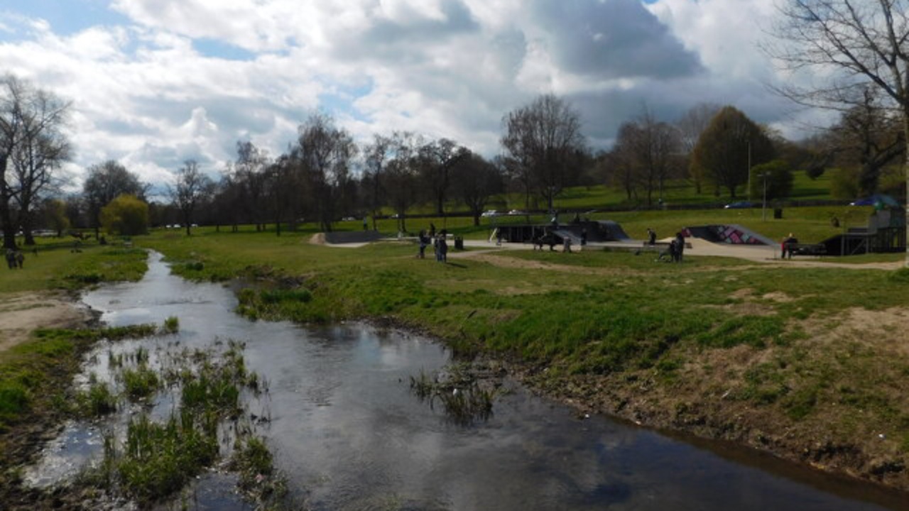 Skatepark: Skatepark, Gadebridge Park