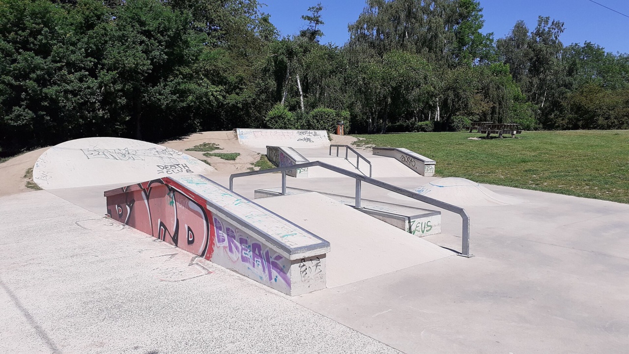 Skate Park (Parc Germez-Rieux): Skatepark de Wasquehal(1)