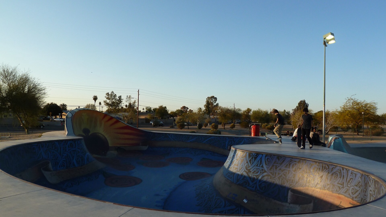 Desert West Skate Park: Maryvale, AZ, Desert West Community Center Skateboard Park - Mural by Lalo Cota and Breeze, 2012 - panoramio (2)
