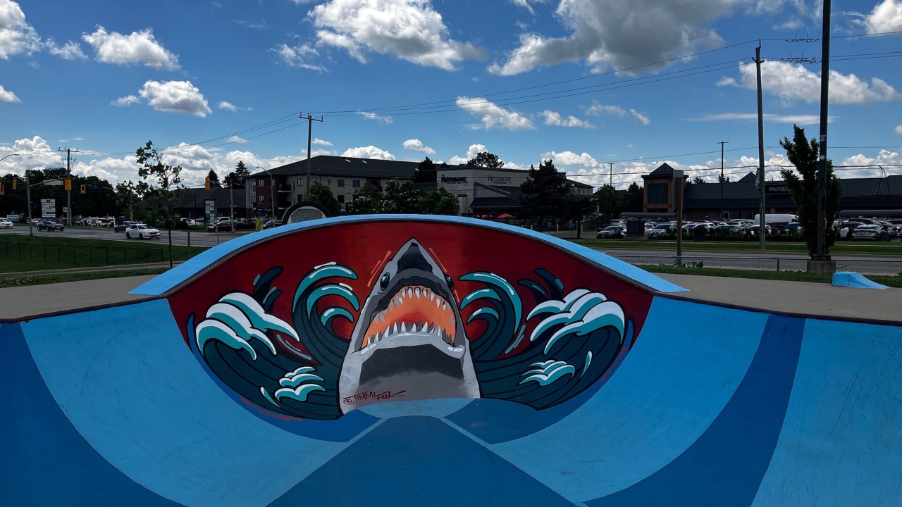 Skatepark: Waterdown Skatepark Shark version 2