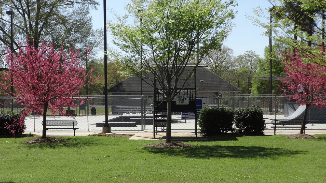 The Grind Skate Park: Skate park, City Park (Griffin)