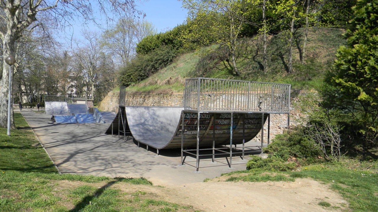 Skatepark de Montessuy: Caluire-Skatepark