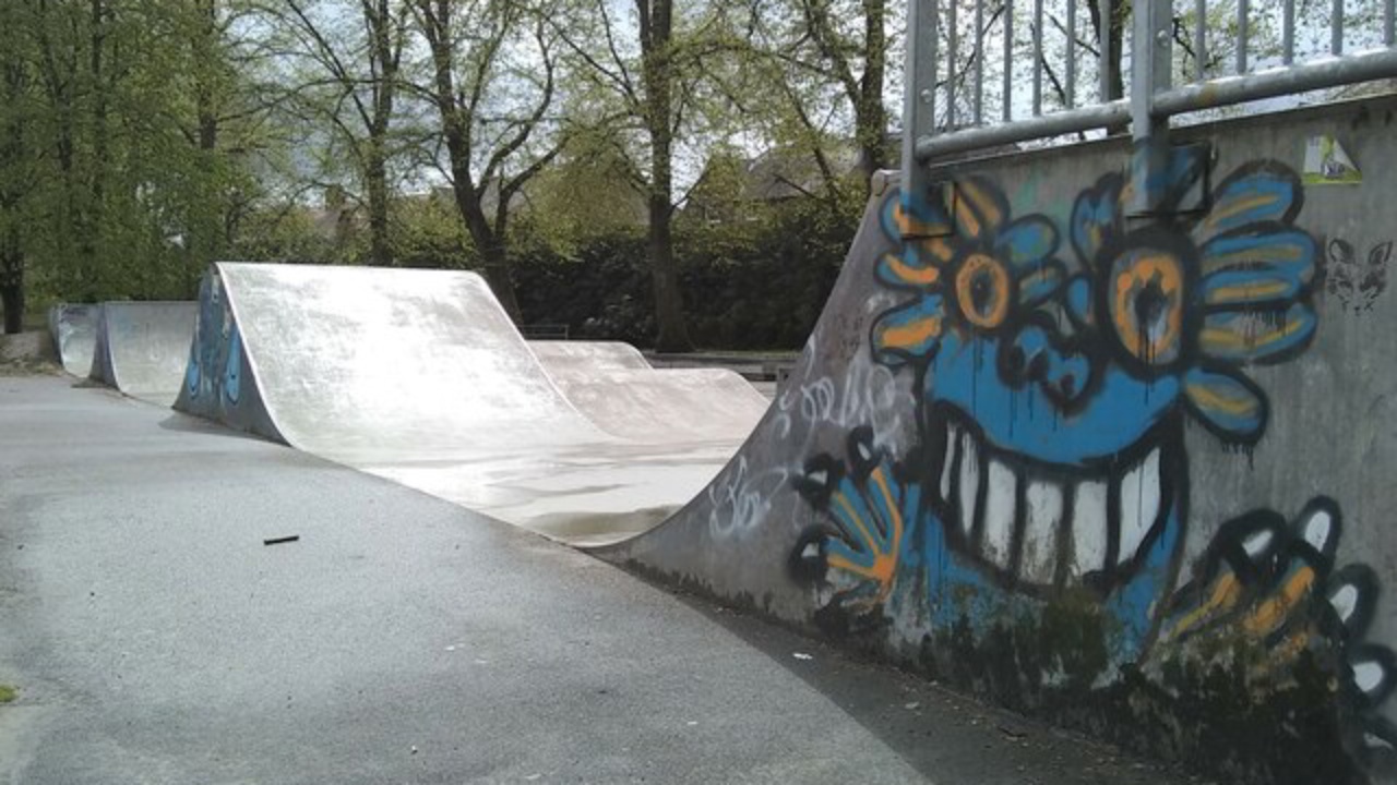Skatepark: Skatepark, Lennox Park